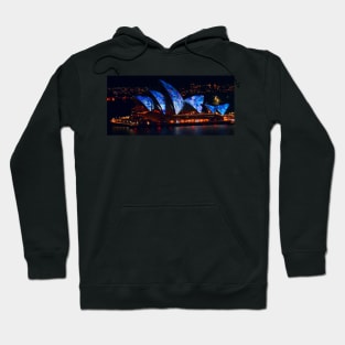 Vivid Sydney 2011 revisited Hoodie